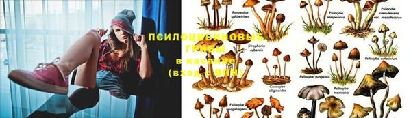 метадон Рославль
