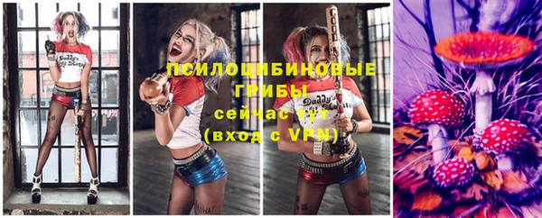 метадон Рославль