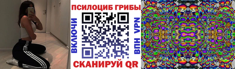 Галлюциногенные грибы мицелий Усмань